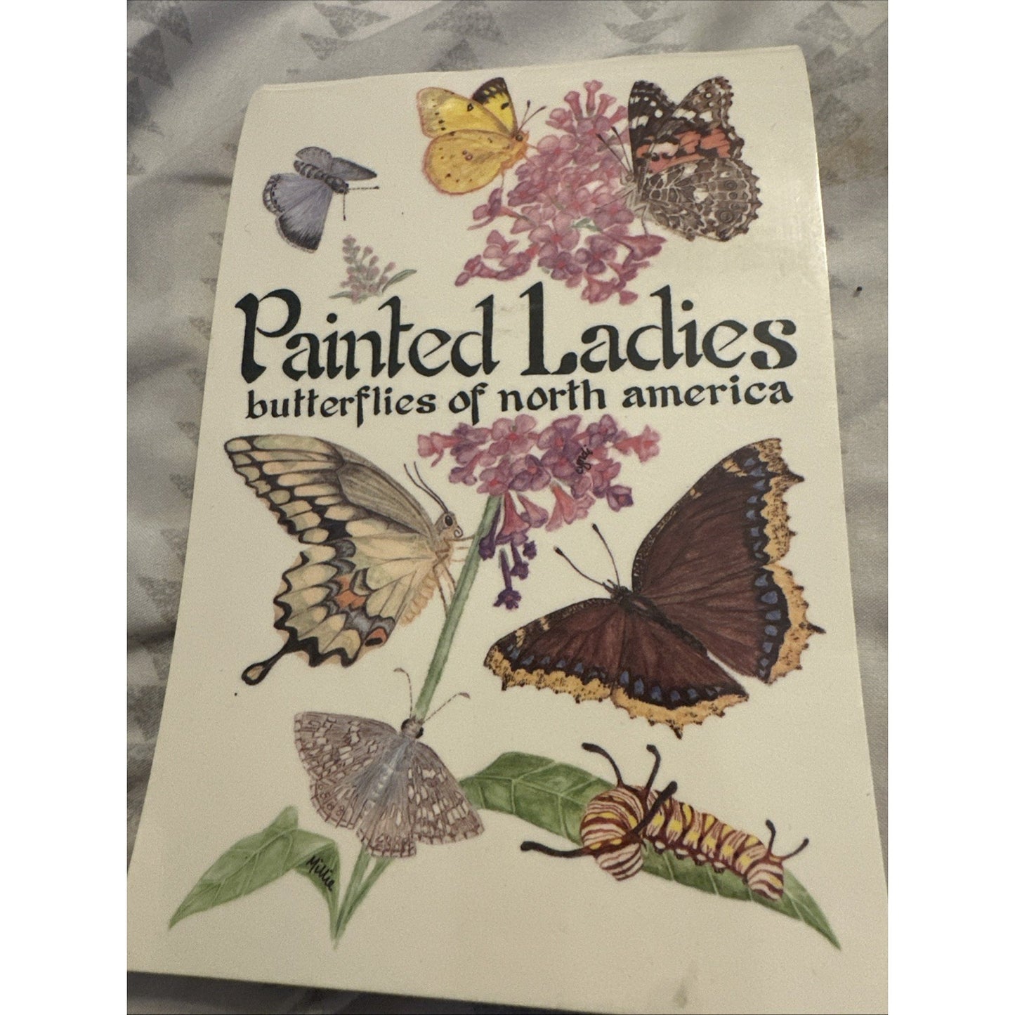 PAINTED LADIES: BUTTERFLIES OF NORTH AMERICA By Millie Miller/Cyndi Nelson 1993