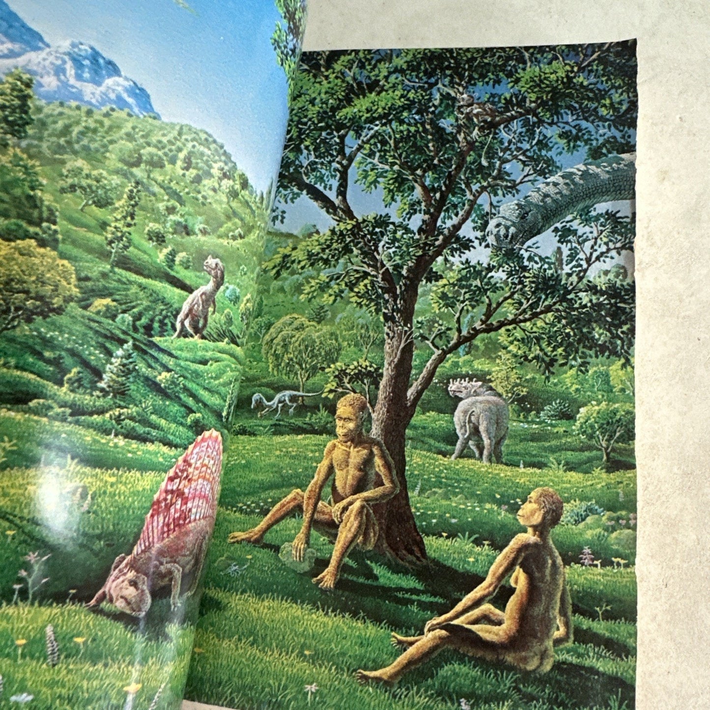 1978 THE DRAGONS OF EDEN Carl Sagan FVF 7.0 1st Ballantine Paperback / Fisherman