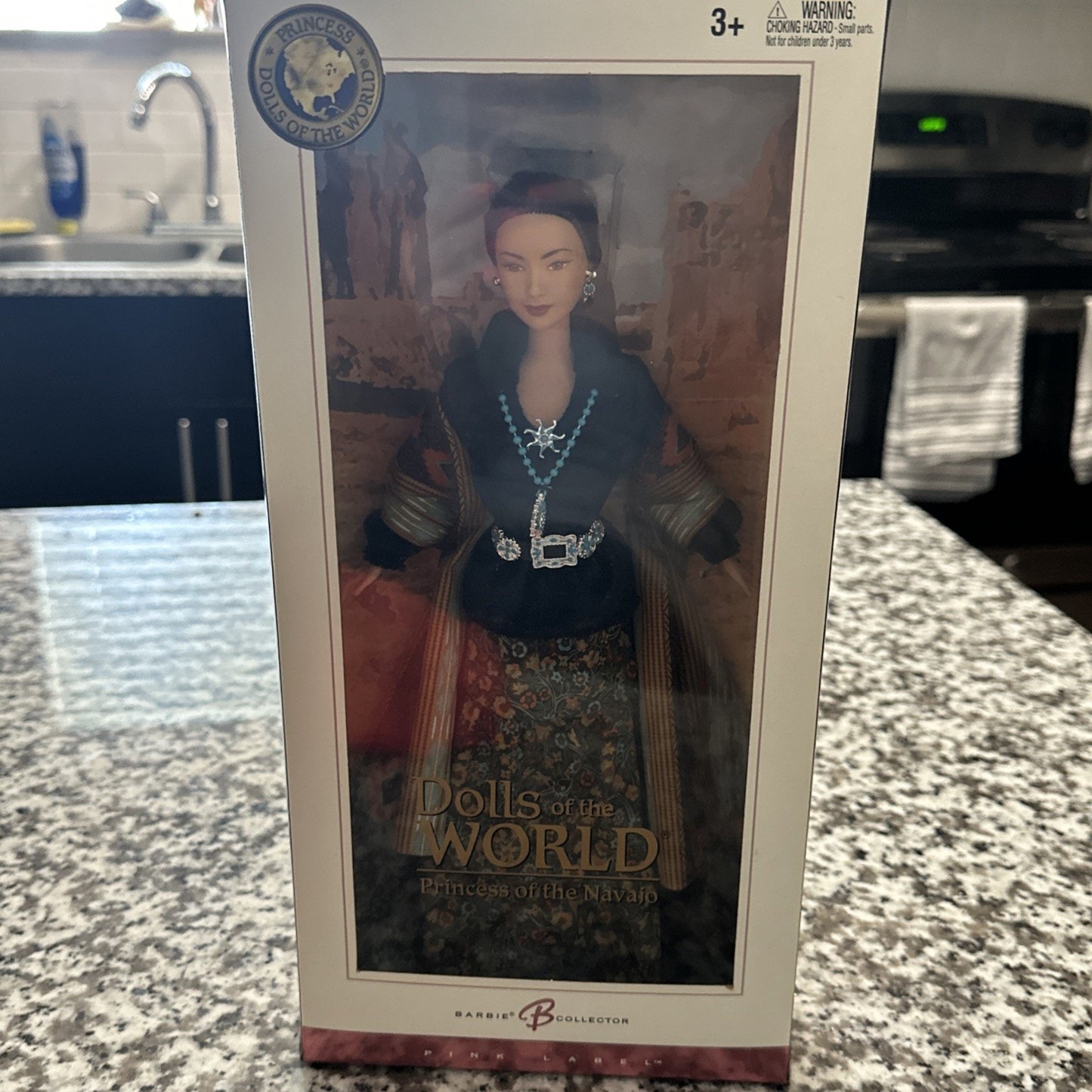 Princess of the Navajo 2004 Barbie Doll