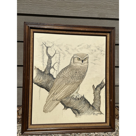 Beautiful Vintage Sketch Barn Owls, Signed David Shepard 29 x 25 One Of A Kind