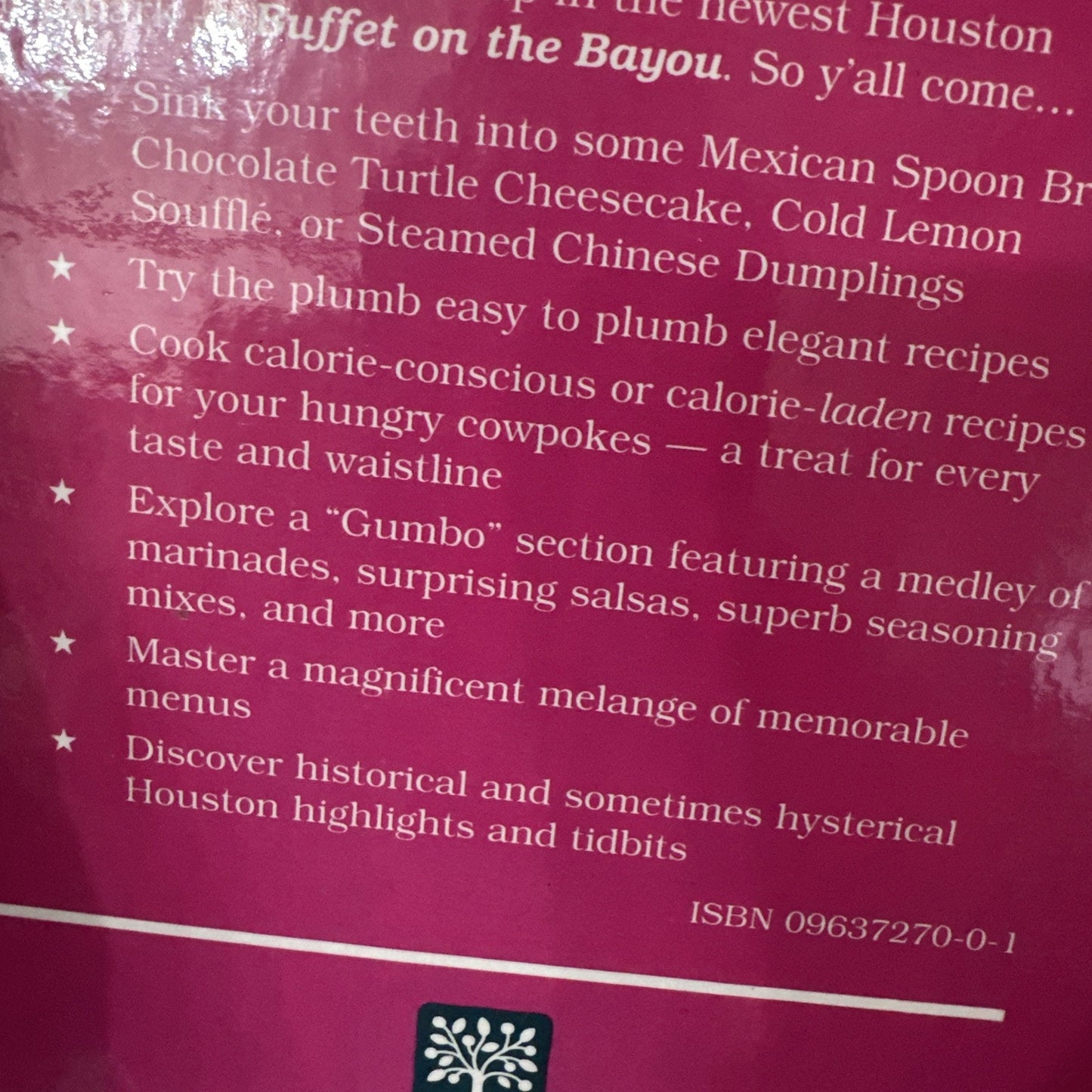 Buffet on The Bayou - Houston Junior Forum Cookbook 1993 First Printing