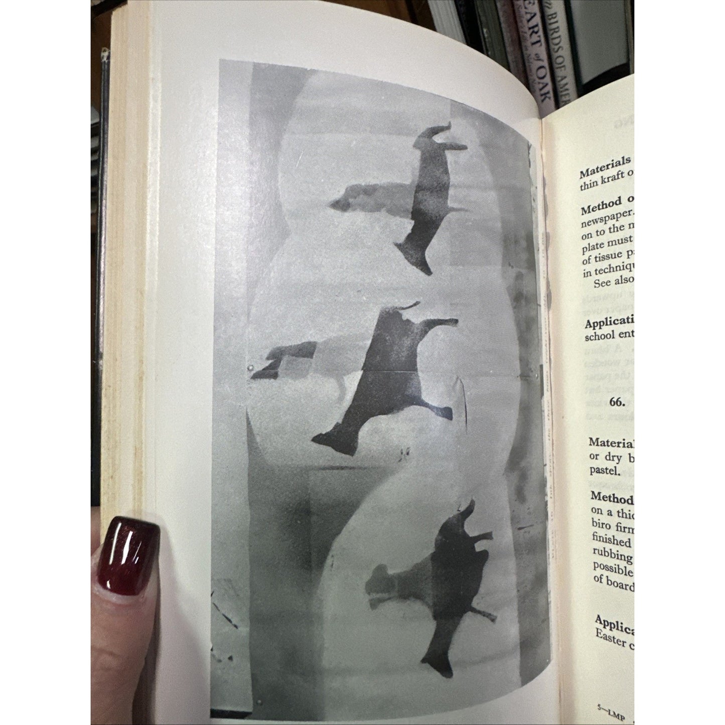 Let's Make Pictures H. Pluckrose Vintage Hardcover 1965