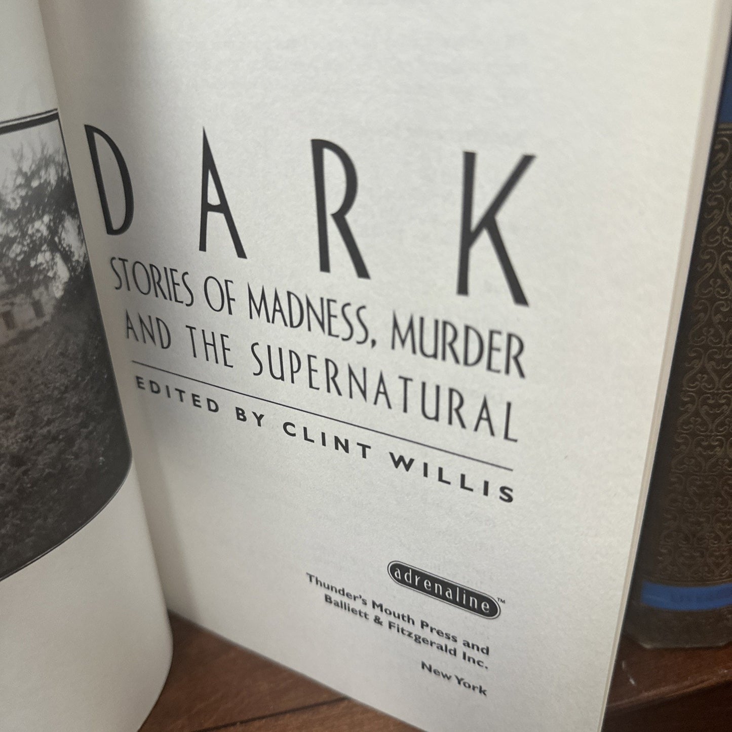 Dark: Stories of Madness, Murder and the Supernatural - Clint Willis (softcover)