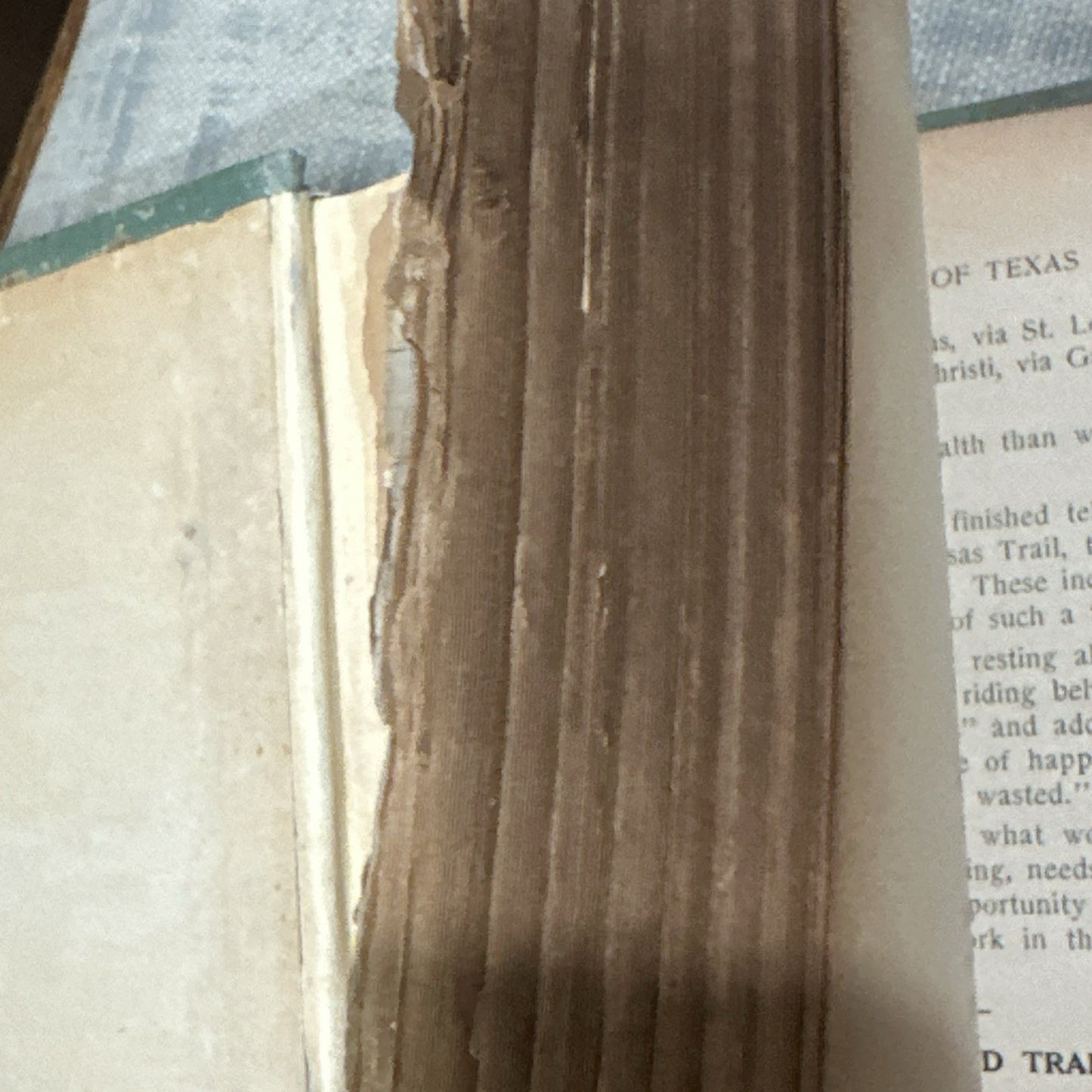 1920 1st Orig. Ed., The Trail Drivers of Texas, George W. Saunders, Illustration