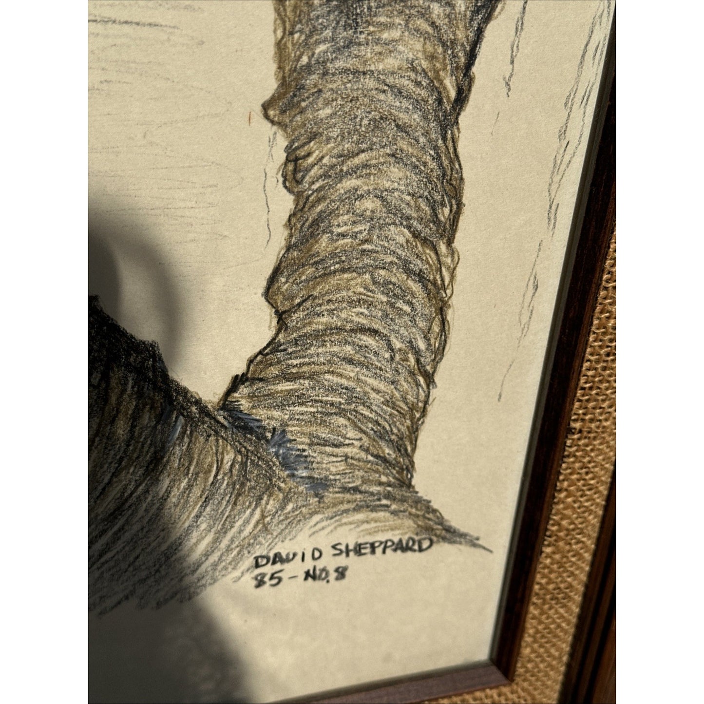Beautiful Vintage Sketch Barn Owls, Signed David Shepard 29 x 25 One Of A Kind