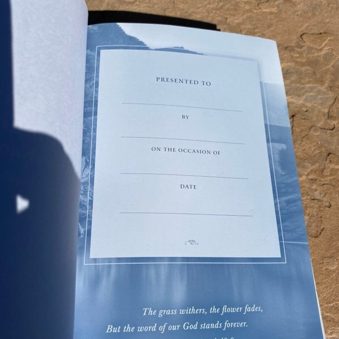 The One Year Chronological Bible 52 Weeks: Know the Bible