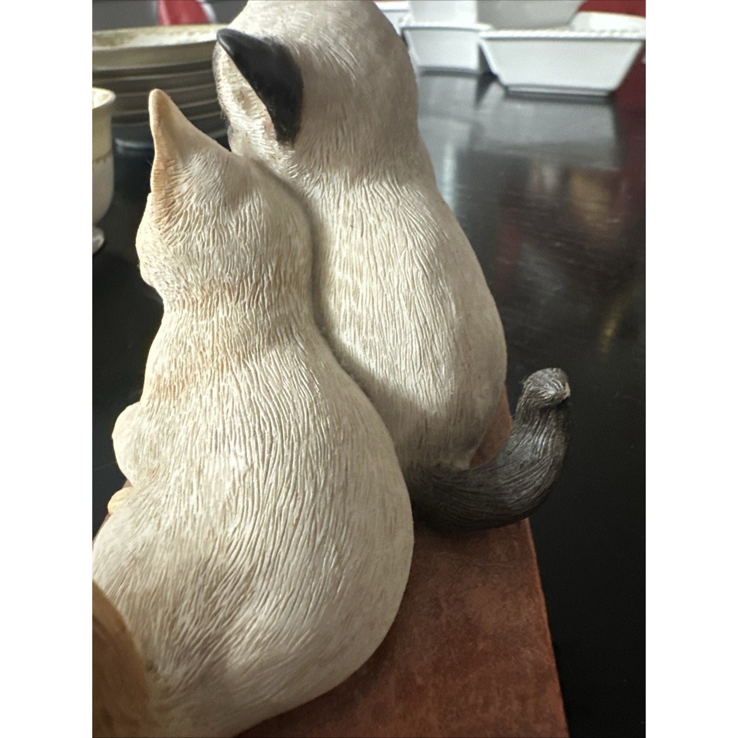 A Country Artist Kitten Tales Book of Friendship Cat Figurine CA04664