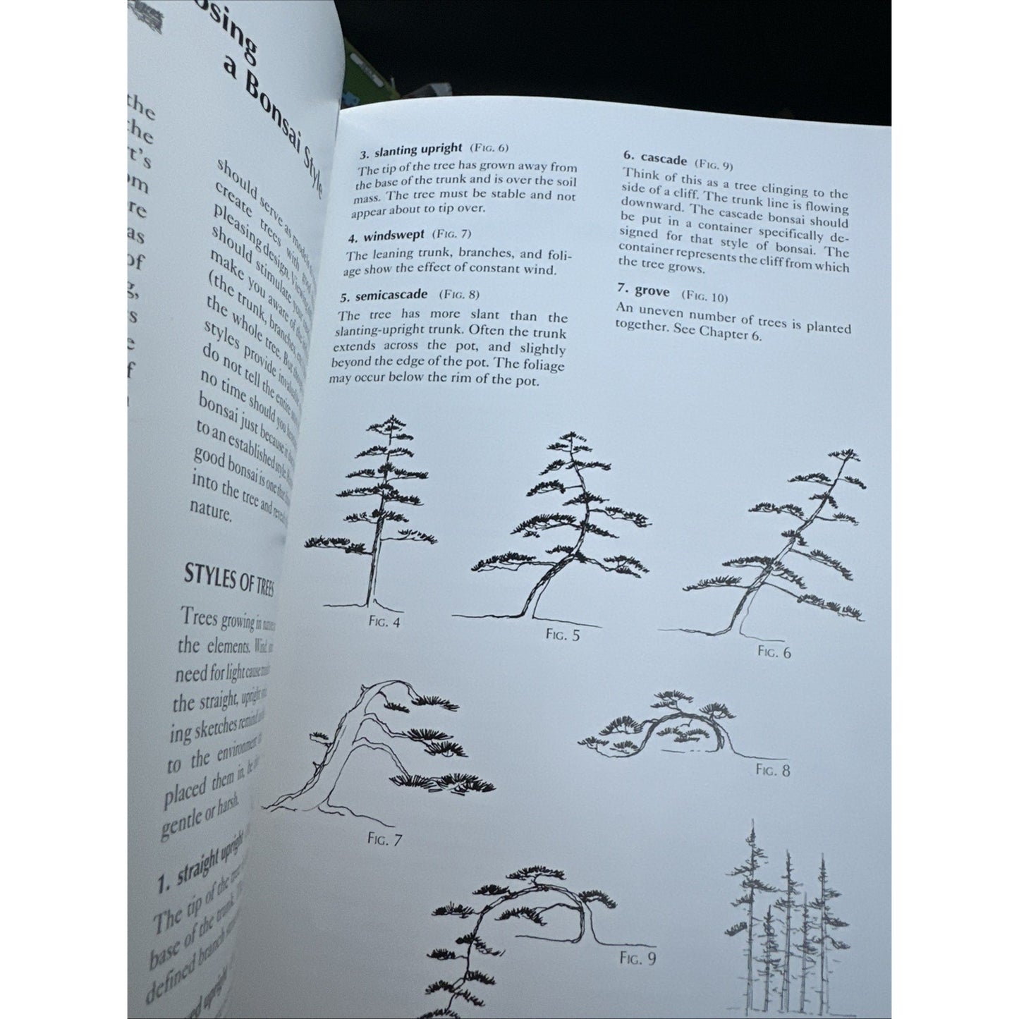 Beginning Bonsai:The Gentle Art of Miniature Tree Growing by ShirlyLarry Student