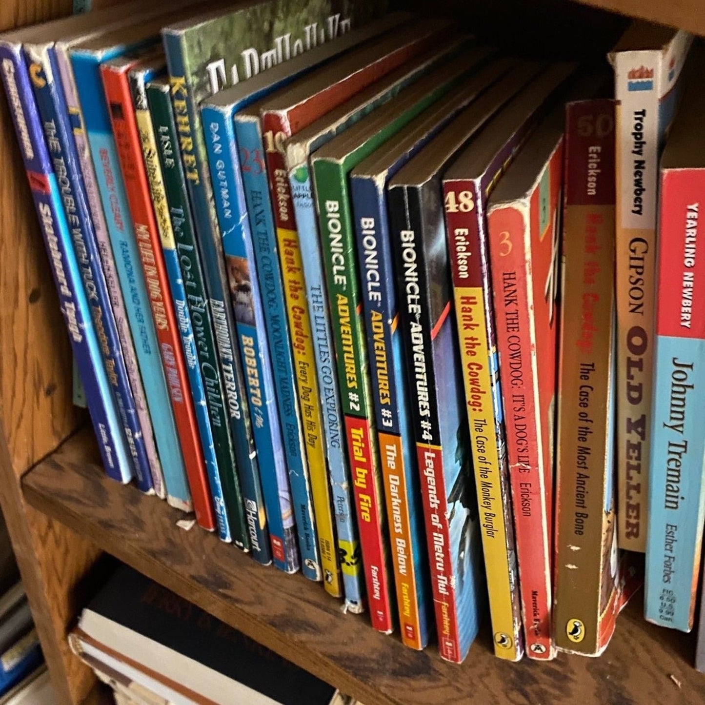 20 pounds of Children chapter books