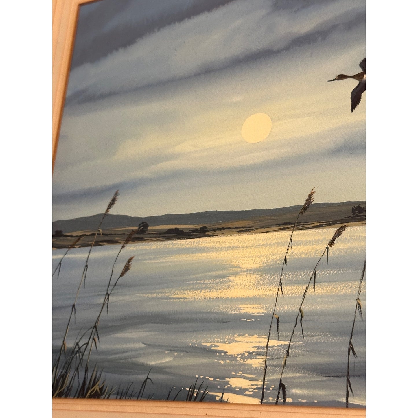 Along the coast, watercolour, signed Winston Megoran 
Water Fowl watercolor