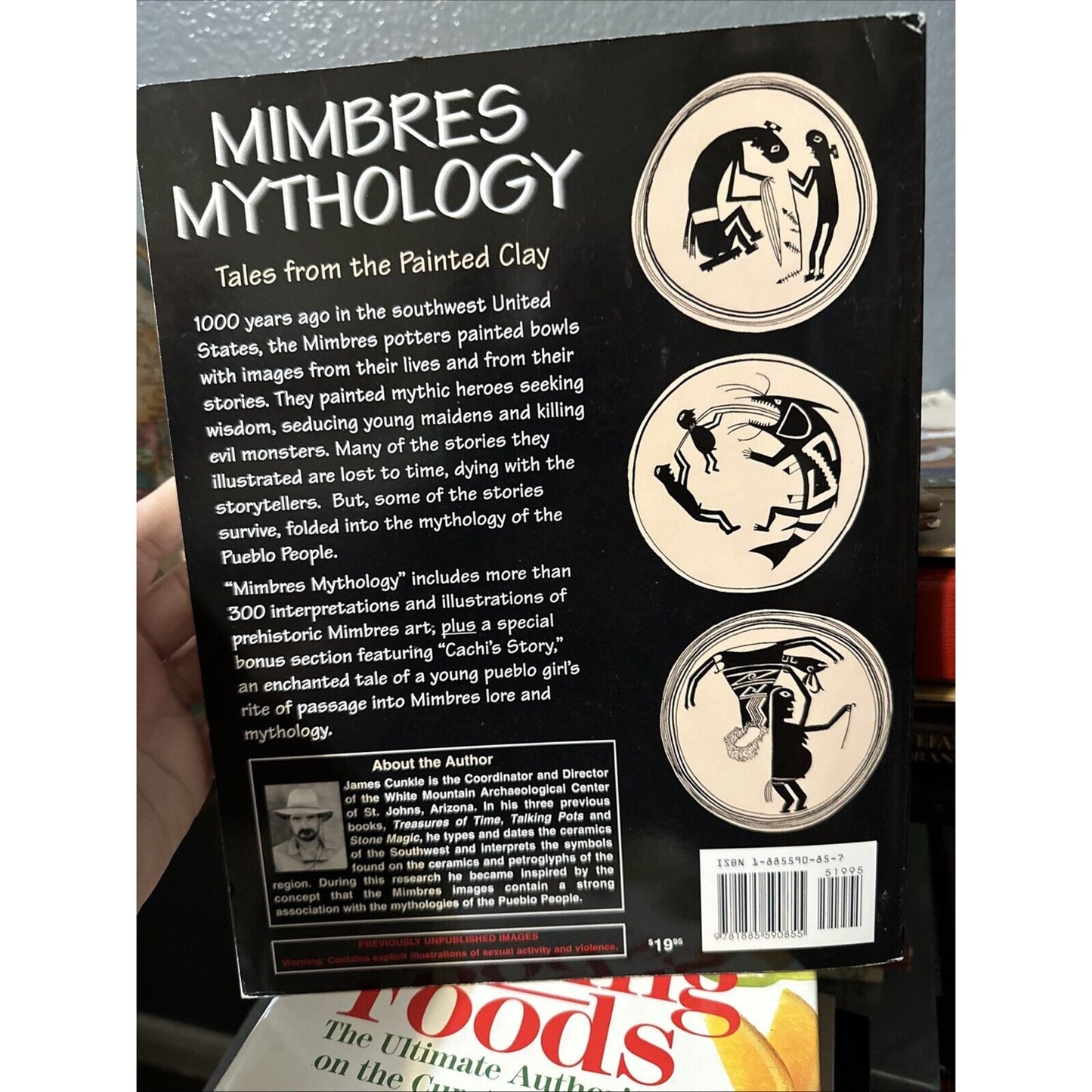 Mimbres Mythology: Tales from the Painted Clay by James R. Cunkle (Softcover)