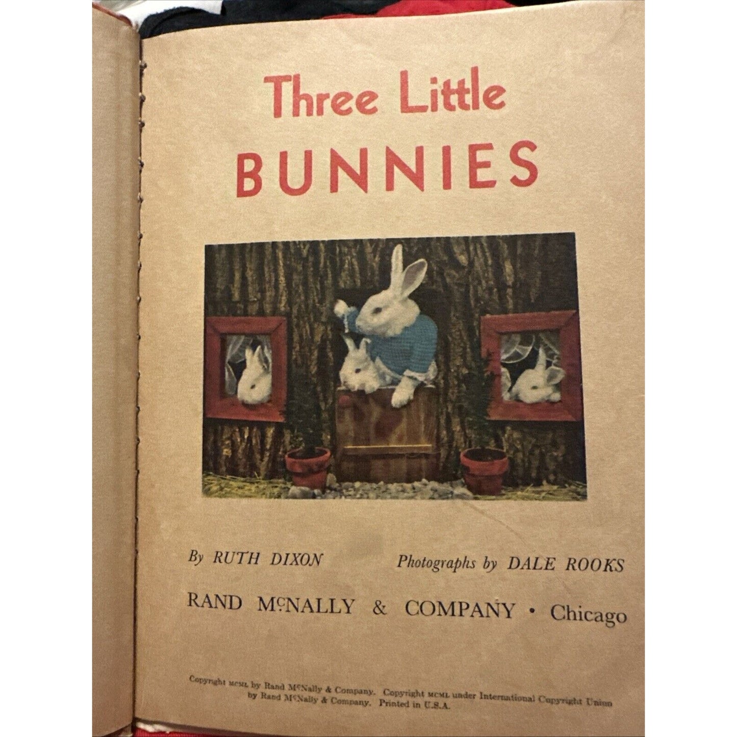 Three Little Bunnies : A Real Live Animal Book. Tip-Top Elf Book by Ruth Dixon