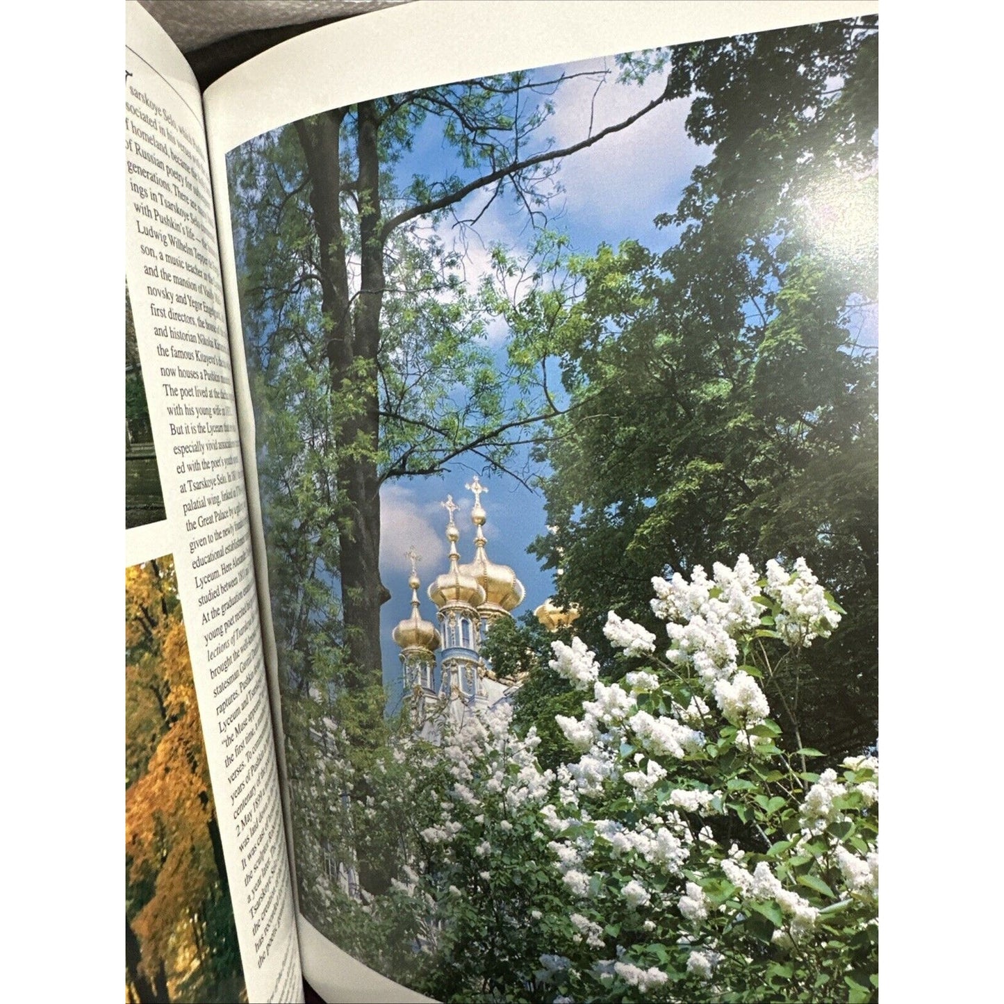 Peterhof-Pavlovsk-Tsarskoye Selo-Gatchina-Oranienbaum Grigory Yar
