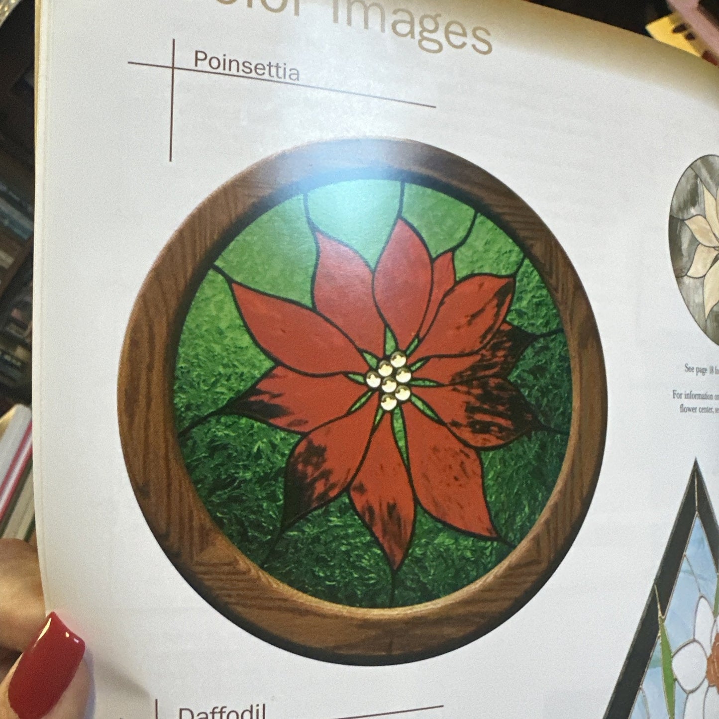 In Full Bloom By Sabine Selvais Patter Book For Stained Glass