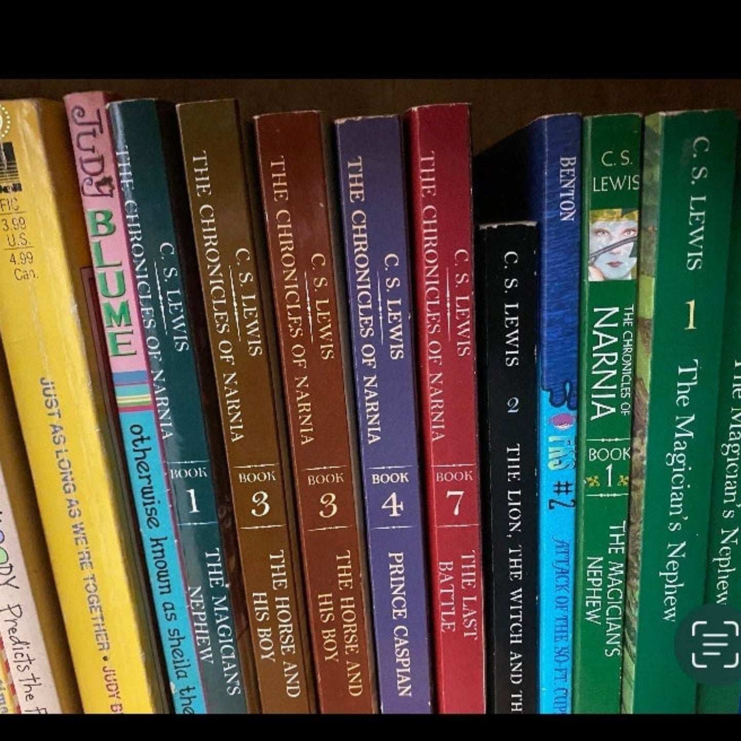 20 pounds of Children chapter books