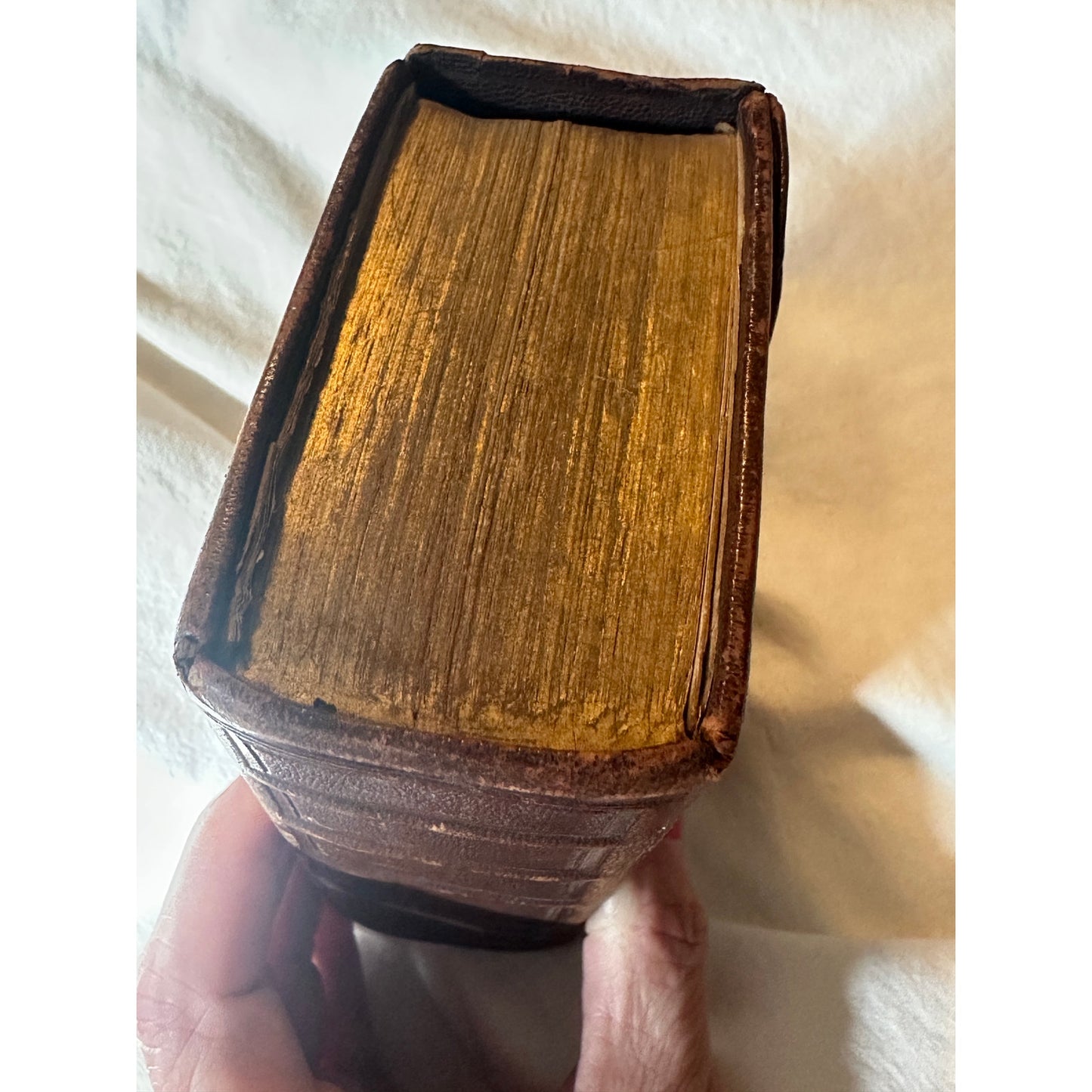 De Staten Generael Vereenighde Nederlanden 1637   Dutch antique Bible